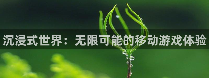 沐鸣2平台开户：沉浸式世界：无限可能的移动游戏体验
