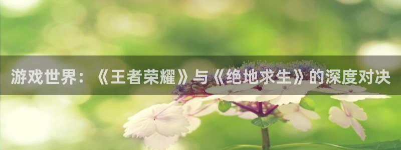 沐鸣2官方官网.最新版本是什么了.中国：游戏世界：《王者荣耀