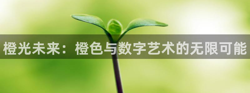 沐鸣2注册网站：橙光未来：橙色与数字艺术的无限可能