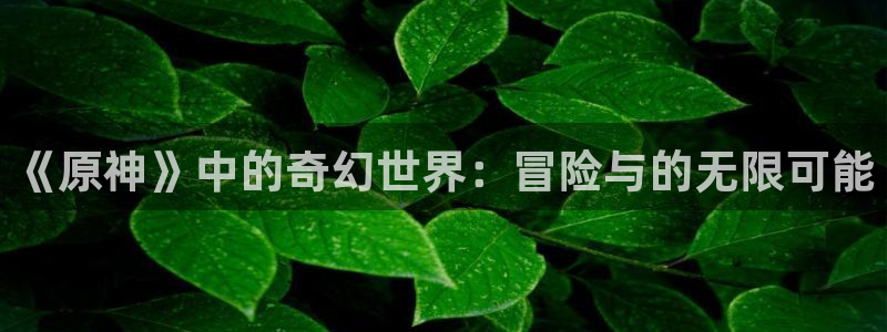 沐鸣2集团：《原神》中的奇幻世界：冒险与的无限可能